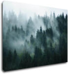 Impresi Tablou Fogy forest - 70 x 50 cm
