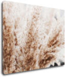 Impresi Tablou Dry flowers detail - 90 x 70 cm