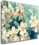 Impresi Tablou Blue background cherry blossom - 90 x 70 cm