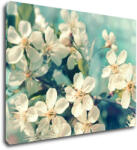 Impresi Tablou Blue background cherry blossom - 60 x 40 cm