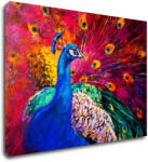 Impresi Tablou Colorful Peacock - 70 x 50 cm