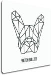 Impresi Tablou French Bulldog White Background - 60 x 60 cm