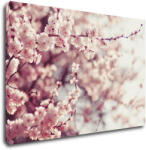 Impresi Tablou Light pink blossom on the tree - 60 x 40 cm