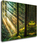 Impresi Tablou Beautiful forest - 90 x 70 cm