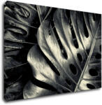 Impresi Tablou Black and white leafs - 90 x 60 cm