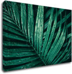 Impresi Tablou Green leaf with drops of water - 90 x 60 cm