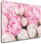 Impresi Tablou Pinky flowers - 70 x 50 cm