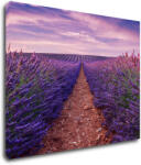 Impresi Tablou Lavender field - 90 x 70 cm