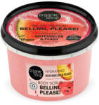 Organic Shop bio cukros testradír görögdinnyével és barackkal 250 ml