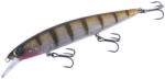 Major Craft CEANA JERKBAIT 110SPS SHALLOW 11cm 16gr #010 Clear Perch (CJK-110SPS_010)