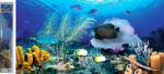 NORIMPEX - Puzzle Pictura cu diamant: Ocean 80x40 cm - 1 - 39 piese