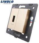 LIVOLO Modul Priză Livolo, simplă USB, auriu (VL-C7-1USB-13)