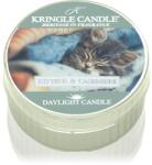 Kringle Candle Kittens & Cashmere teamécses 42 g