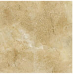 Izida ceramica ГРАНИТОГРЕС DAVID BEIGE 60.6x60.6 8мм (9025B11)