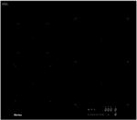 Sirius S-H8 58 CM Főzőlap