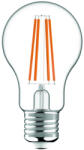 Avide LED Filament Globe 6.6W E27 A60 WW 2700K Super High Lumen (ABLFG27WW-6-6W-SHL) - alphadenthigienia