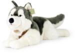 Rappa Husky plüss kutya nyakörvvel fekvő 60 cm KÖRNYEZETBARÁT (RP211254)
