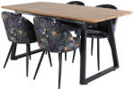  Étkezőgarnitúra Dallas 335 (Virágos minta + Fekete)