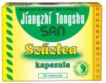 Dr. Chen Patika Jiangzhi Tongshu San Virgin ceai capsule (80buc)