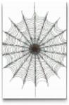 Gyémántszemes kirakó - Pókháló mandala Méret: 40x60cm, Keretezés: Keret nélkül (csak a vászon), Gyémántok: Négyzet alakú