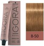 Schwarzkopf Igora Royal Absolutes hajfesték, 8-50 - hajvarazs