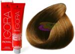 Schwarzkopf Igora Royal hajfesték 6-5 - hajvarazs