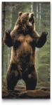  Festés számok szerint - Nagy grizzly Méret: 40x80cm, Keretezés: Keret nélkül (csak a vászon)