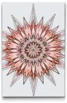  Festés számok szerint - Tüskés mandala Méret: 20x30cm, Keretezés: Kartonlemezen