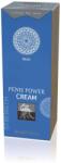 Shiatsu Crema Stimulanta, Shiatsu, Japanese Mint & Bamboo, 30 ml