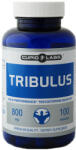 BrandX Supliment Tribulus, BrandX, 800 mg, capsule