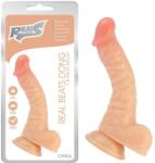 Chisa-novelties Dildo, Chisa Novelties, Real Beats 20 cm, maro Dildo