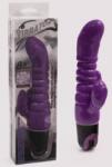 LyBaile Vibrator multi-viteză, Debra, Purple, TPR Vibrator