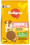 PEDIGREE Hrana uscata pentru caini Pedigree Junior cu pui legume 7 kg