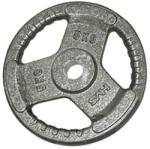 HMS Disc cu maner HMS Hammertone 5 kg