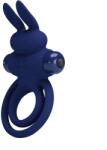 Pretty Love Inel Dublu de Penis Darey, 10 Moduri Vibratii, Silicon, Albastru Inel pentru penis