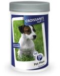  PET PHOS PET PHOS Croissance Ca/P=2, supliment sistem osos câini junior, comprimate PET PHOS Croissance Ca/P=2, XS-M, supliment sistem osos câini junior, flacon, 500 comprimate