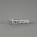 Arianna orrszívó-porszívó pótfej "a" 1 db - perfectlife