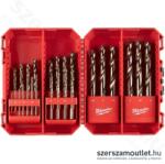 Milwaukee 4932493868 Burghiu