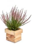 AtmoWood Négyzet alakú fa virágcserép 14 x 14 x 12 cm (6041)