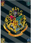 Jerry Fabrics Gyerek gyapjú takaró Harry Potter 067 (03117-DEKAHARRYPA)