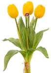 D&D Élethű gumi Tulipán csokor műanyag 35cm sárga (A2397306)