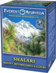 Everest Ayurveda Shalari - Vizeletanyagcsere és ízületek, 100g