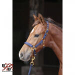  Covalliero TopLine csikó kötőfék - zöld (3224749)