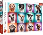 Trefl Puzzle Trefl Catelusii amuzanti, 2000 piese Puzzle
