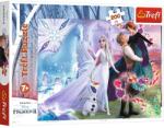 Trefl Puzzle Trefl Disney Frozen II Universul magic, 200 piese Puzzle