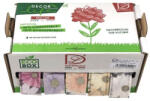 Decoration & Design Szalag környezetbarát margaréta 40mm x 10m x 5 színes 5 db-os szett (ND112064)