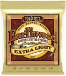 Ernie Ball 2006 Earthwood Corzi chitare acustice (P02006)