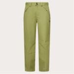 Oakley Men's Granite Weather Resistant Tailored Fit Ski Trouser - Fern