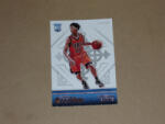 Panini 2015-16 Panini Excalibur #196 Cameron Payne RC