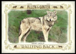 Topps 2021-22 Topps Allen and Ginter Rallying Back #RB-1 Gray Wolf